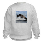 Baby Seal Watercolor Sweatshirt by NANCE